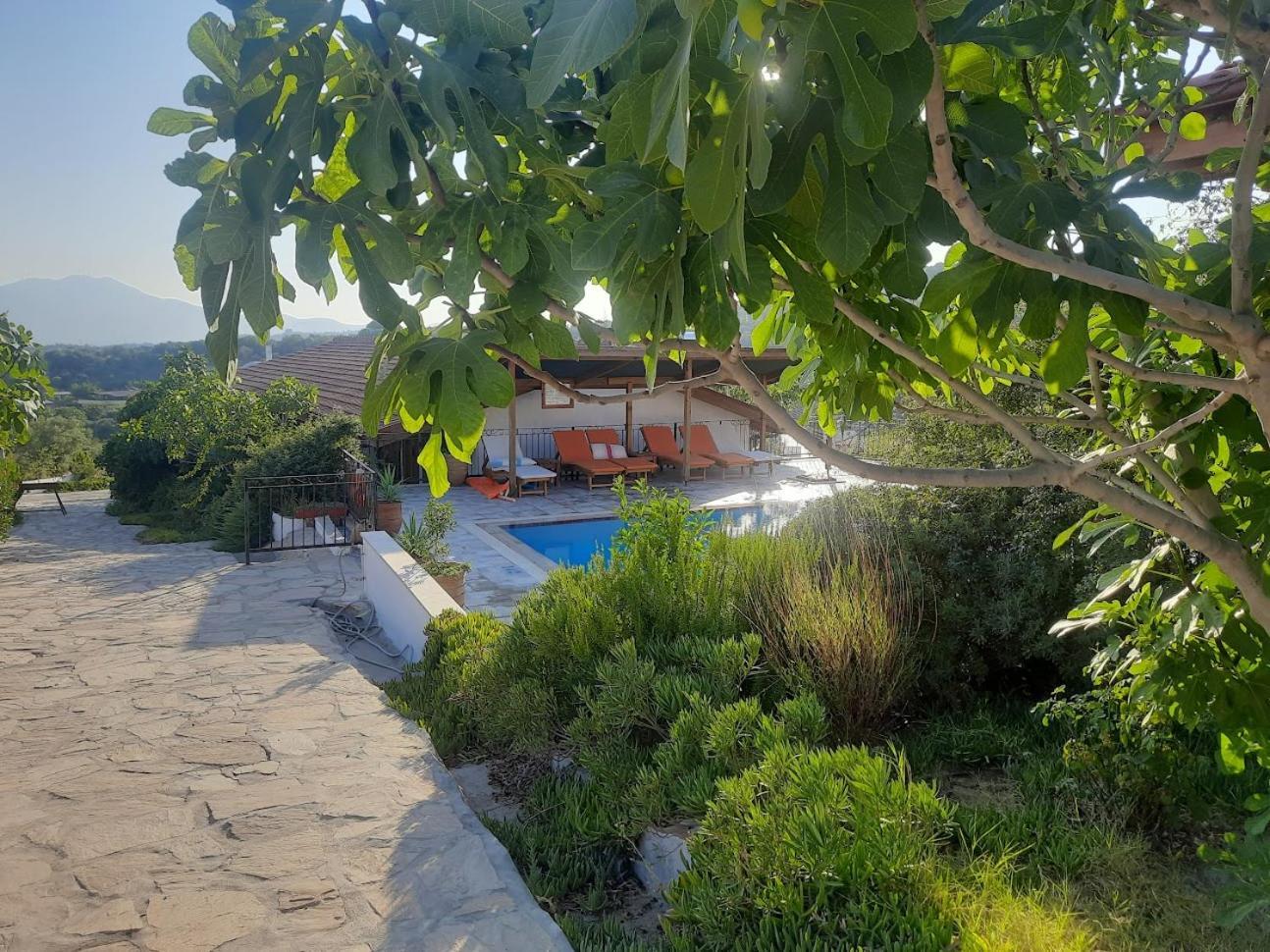 Ionia Guest House Айдин Екстериор снимка