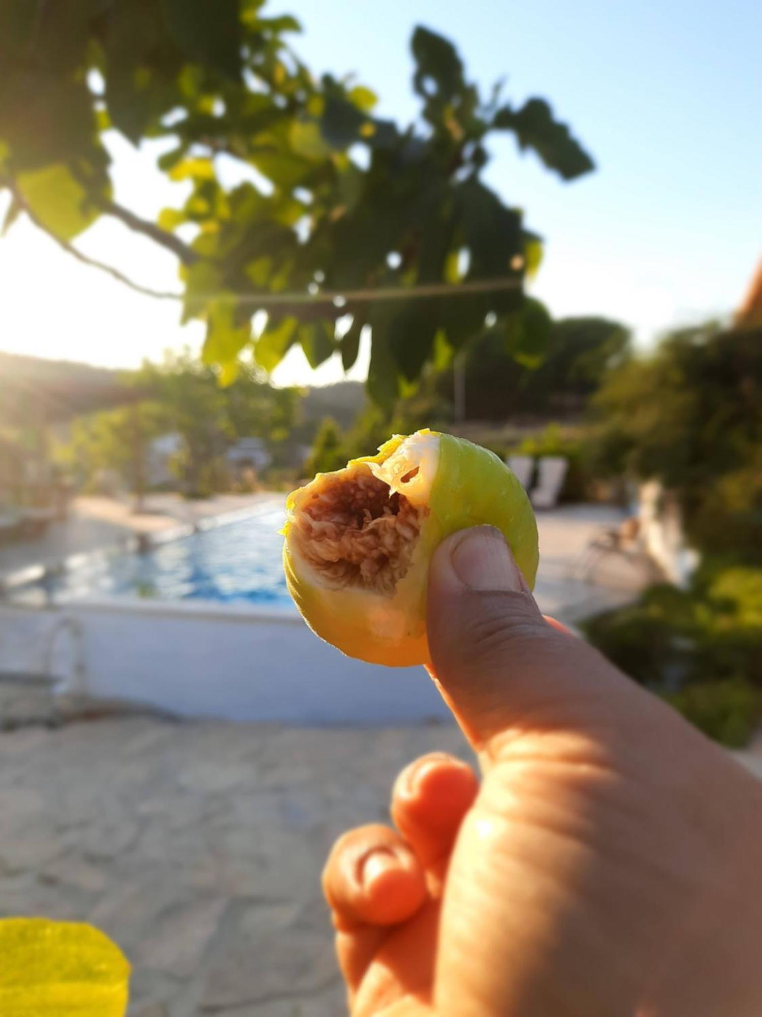 Ionia Guest House Айдин Екстериор снимка
