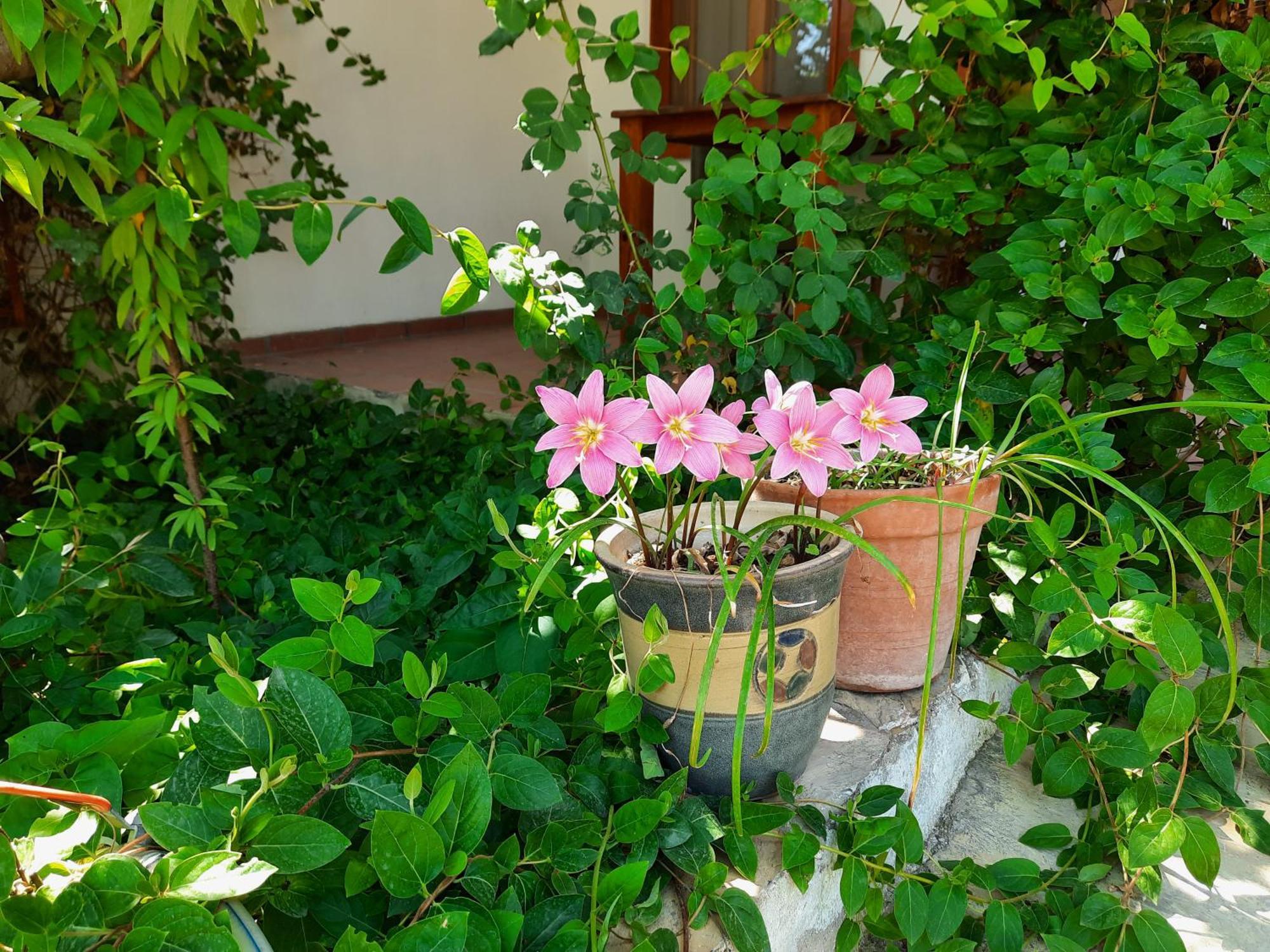 Ionia Guest House Айдин Екстериор снимка