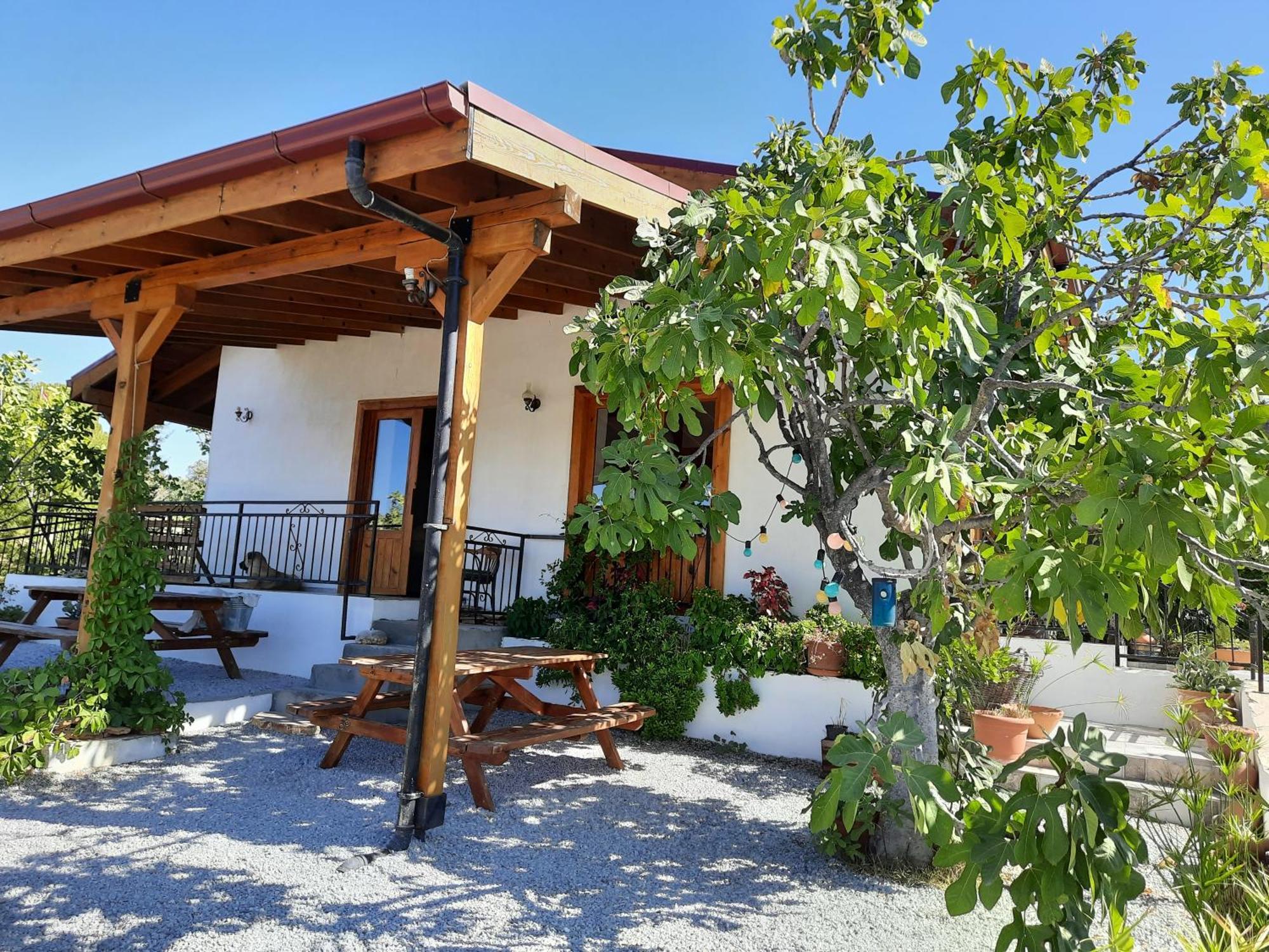 Ionia Guest House Айдин Екстериор снимка