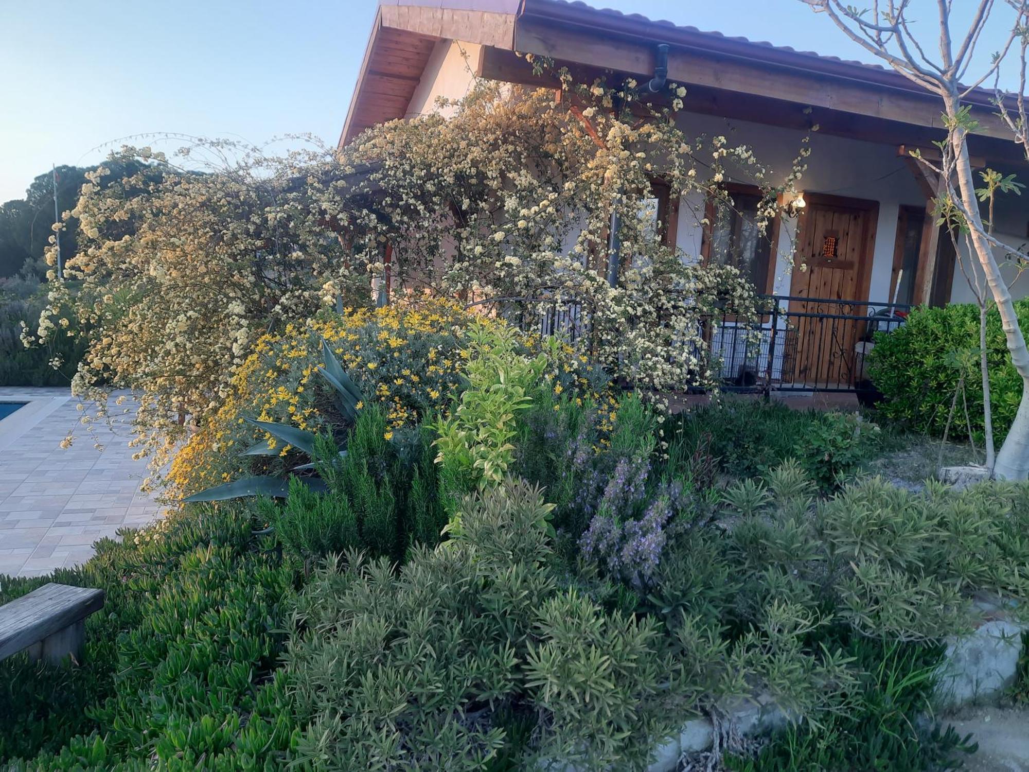 Ionia Guest House Айдин Екстериор снимка