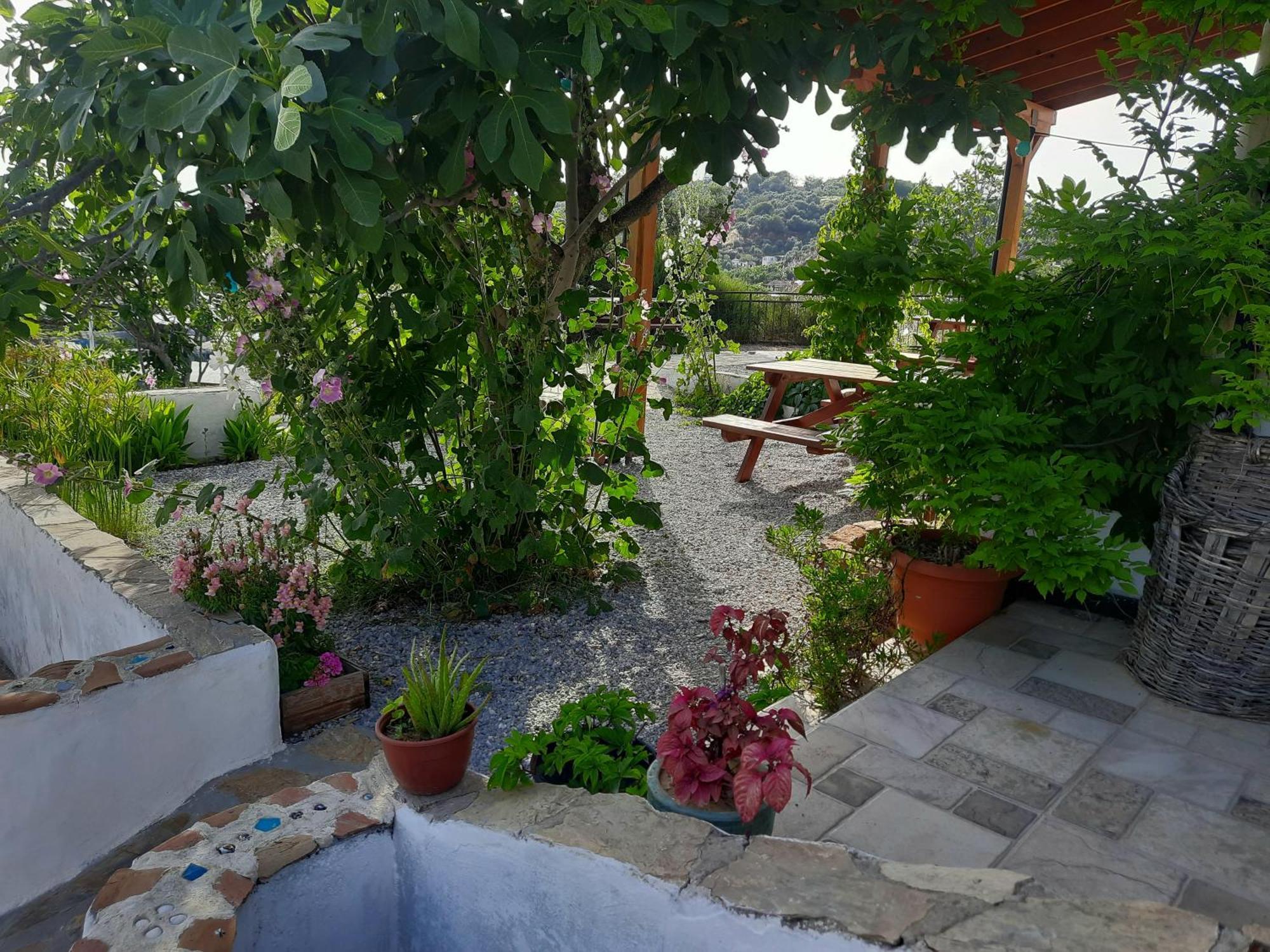 Ionia Guest House Айдин Екстериор снимка