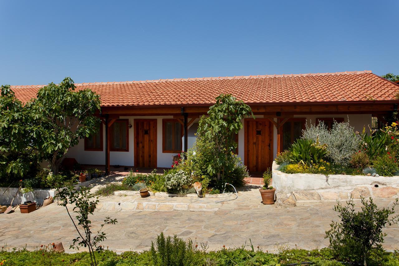 Ionia Guest House Айдин Екстериор снимка